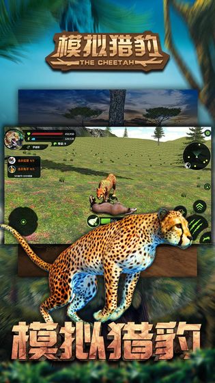 模拟猎豹 V2.9.9 特权版