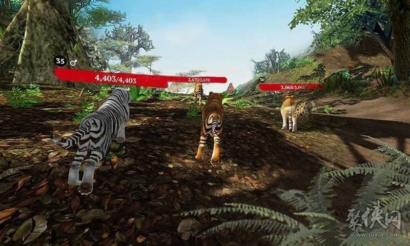 老虎模拟狩猎3D V1.0 最新版