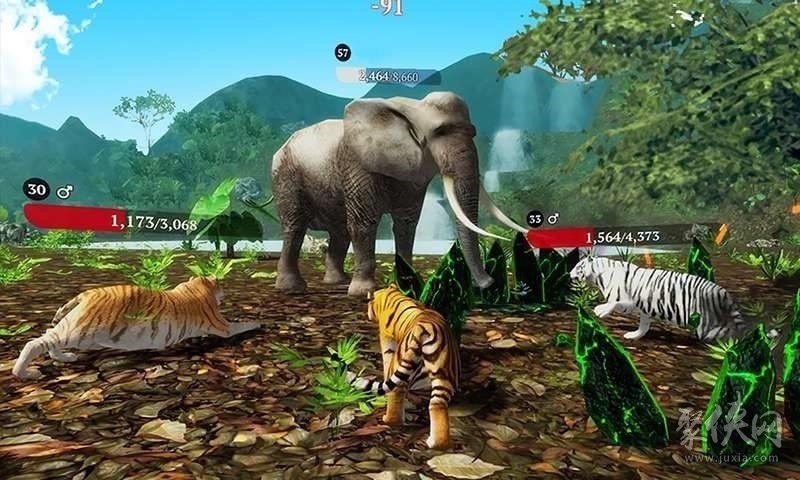 老虎模拟狩猎3D V1.0 最新版