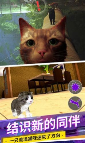 猫咪城市模拟器游戏截图