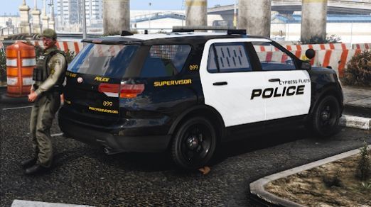 警察追车3D最新版图2