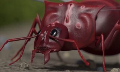 蚂蚁模拟器地下蚁国手机安卓版