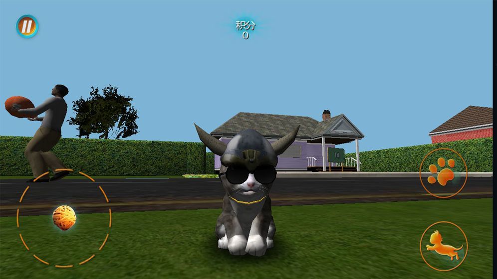 真实小猫3D模拟最新版图1